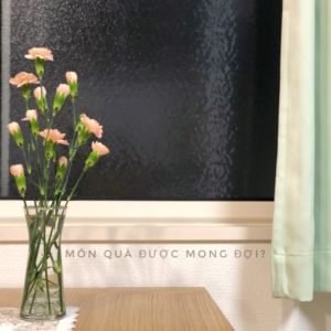 Món quà được mong đợi